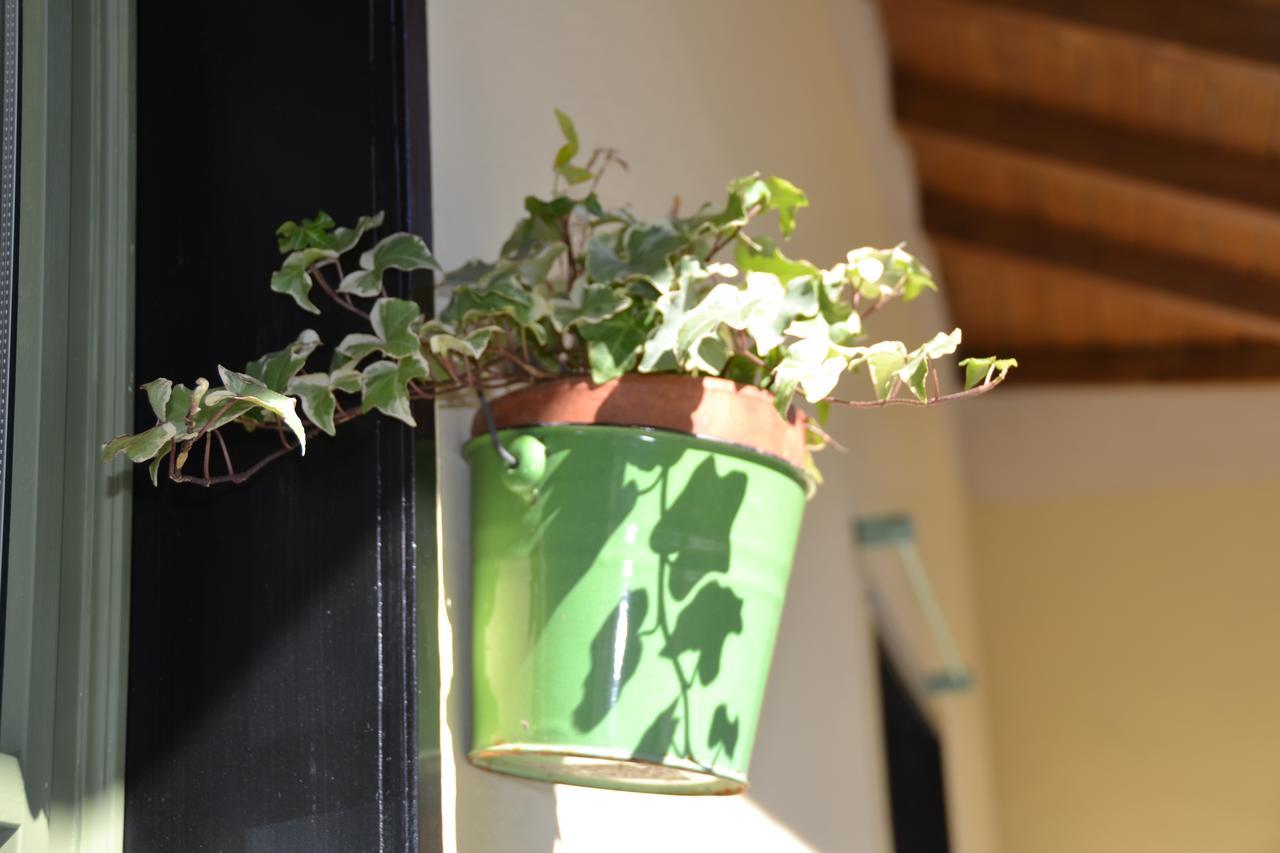 Casa Nina Bed and Breakfast Toirano Buitenkant foto